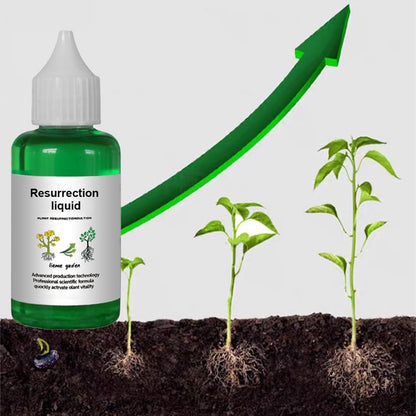 👍[Recommended by Plant Experts]🌿Plant and Flower Activating Liquid-(Big Sale⛄)