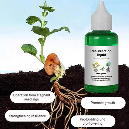 👍[Recommended by Plant Experts]🌿Plant and Flower Activating Liquid-(Big Sale⛄)